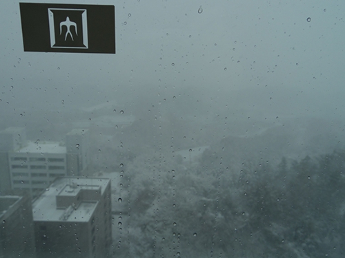 20140214_大雪.JPG