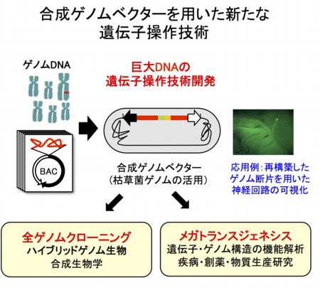 BGMテクノロジー.jpg